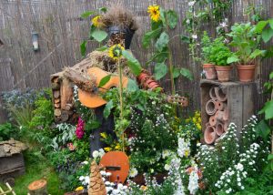 How to Create a Nature Friendly Garden