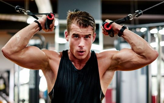 Upper Body Strength Workouts You Should Try